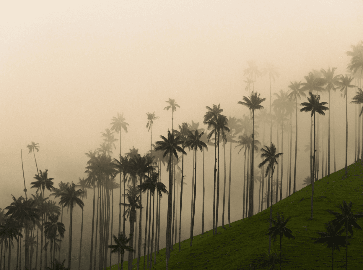 Travel destination wallpaper